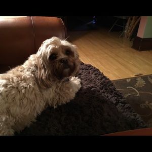 Meet your Posher, Michelle